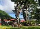 h Pago Pago (14)